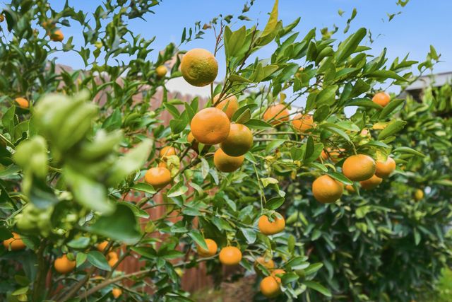 1705 S Bradley Street, Visalia, CA 93292