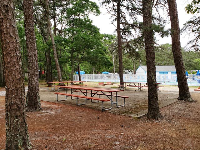 310 Old Chatham Road E 29, South Dennis, MA 02660