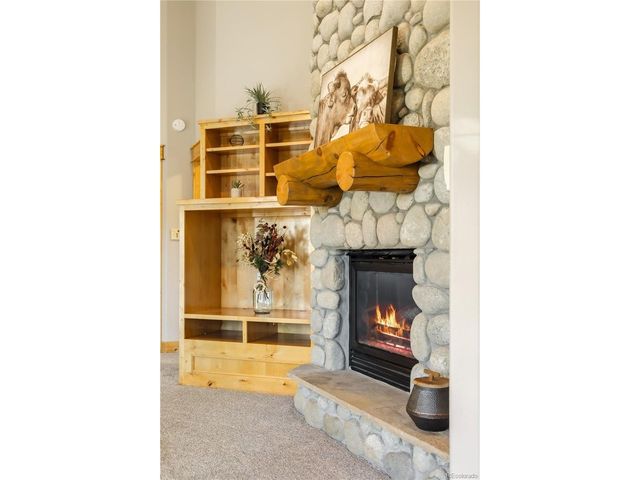 31276 Stone Canyon Rd 76-201, Evergreen, CO 80439