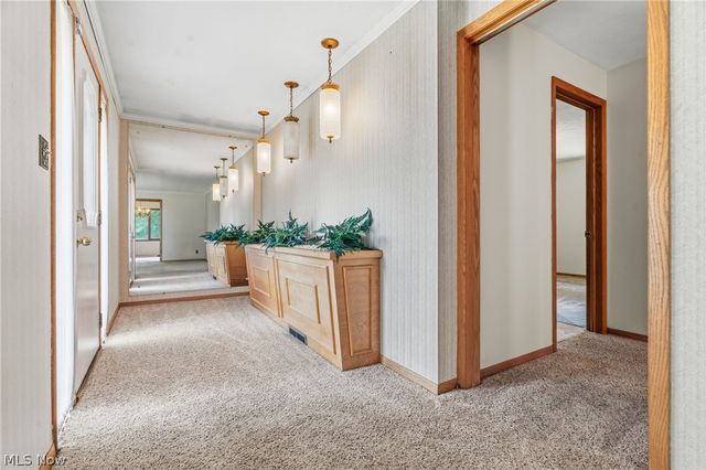 1129 Oak Tree Road, Akron, OH 44320