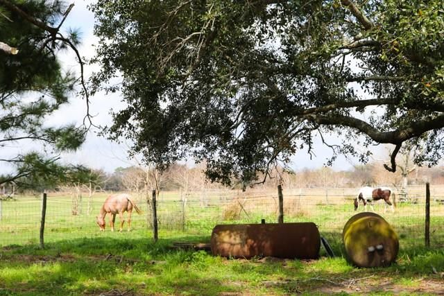 239 County Road 402, Danbury, TX 77534