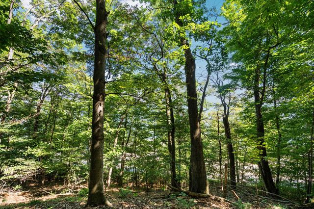 00 Center Road, Traverse City, MI 49686