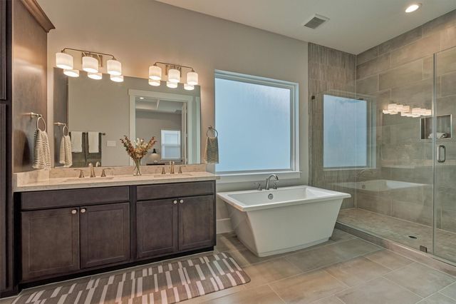 62 Dobbs View Lane, Spring, TX 77389