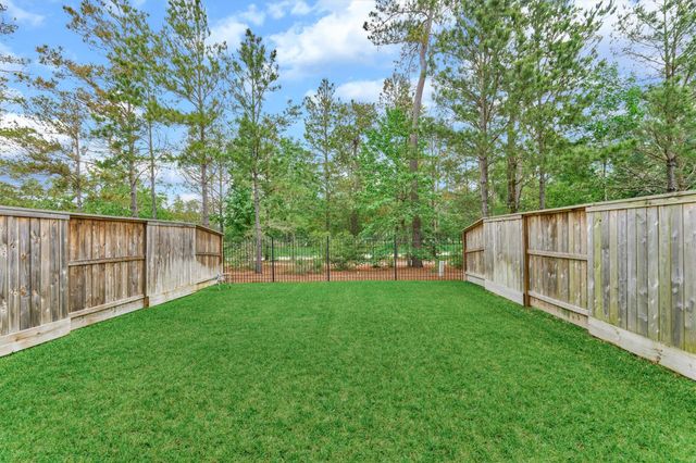 62 Dobbs View Lane, Spring, TX 77389