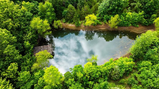 716 Range Rd, Palestine, TX 75801