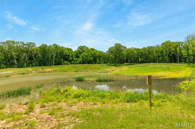 222 Prairietown Road, Dorsey, IL 62021