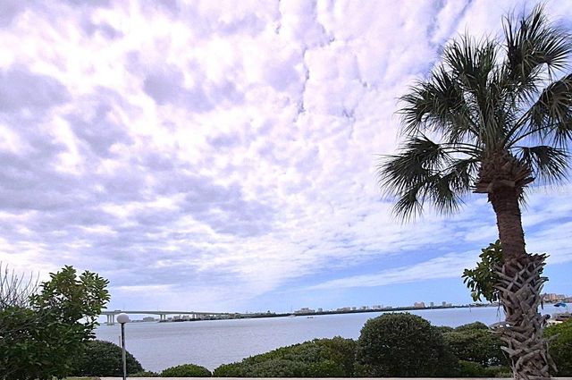 500 N OSCEOLA AVENUE 510, Clearwater, FL 33755