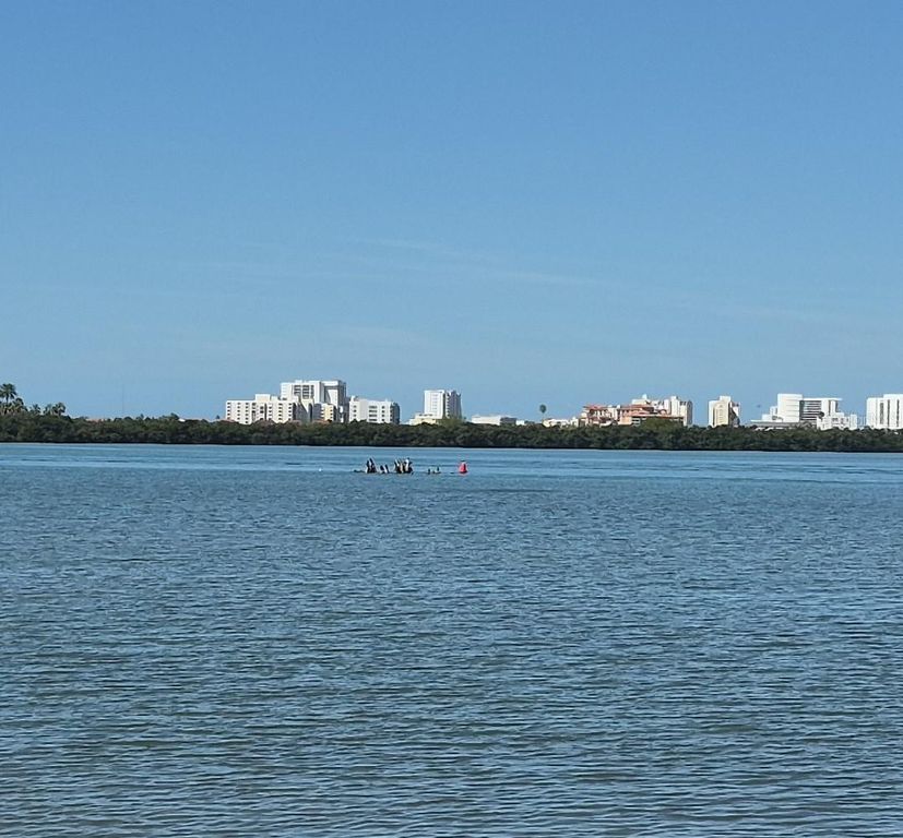 Image 11 of property listing at 500 N OSCEOLA AVENUE 510, Clearwater, FL 33755