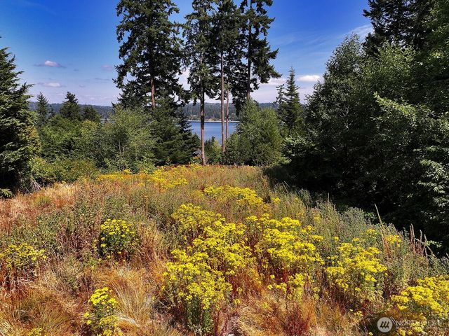 0 XXX Honeymoon Bay Road, Freeland, WA 98249