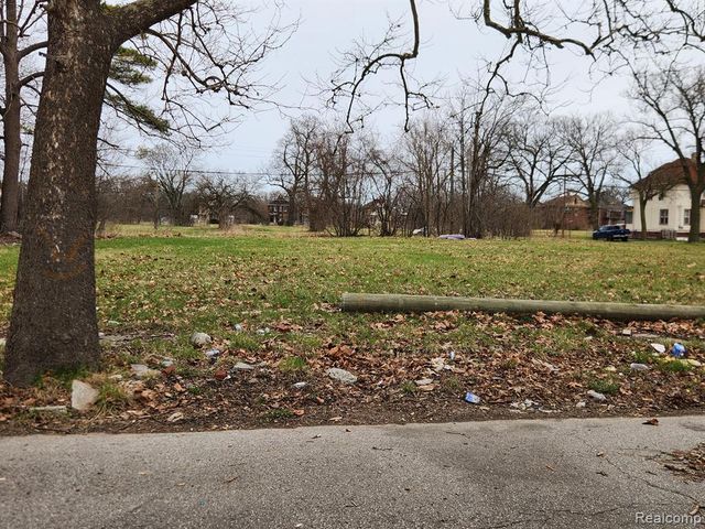 1528 Gray Street, Detroit, MI 48215