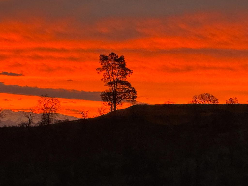 Image 48 of property listing at 22113 Oak Glen Lane, Friant, CA 93626