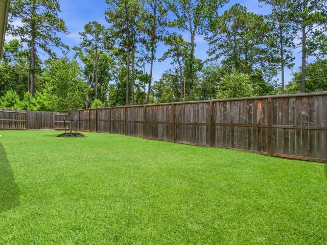 118 Violet Carson Court, Conroe, TX 77318