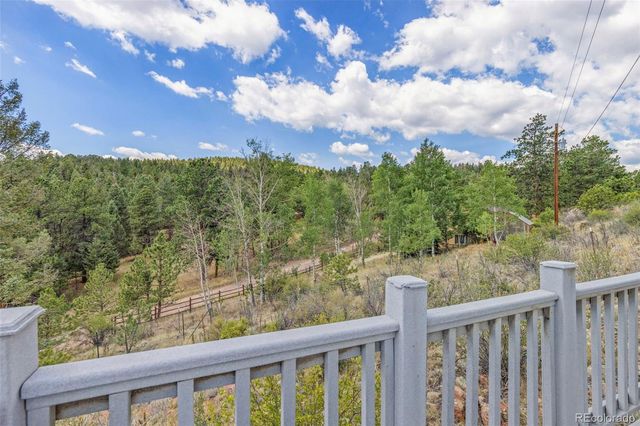 33758 Harmon Road, Pine, CO 80470