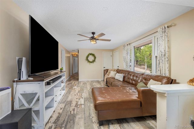 33758 Harmon Road, Pine, CO 80470