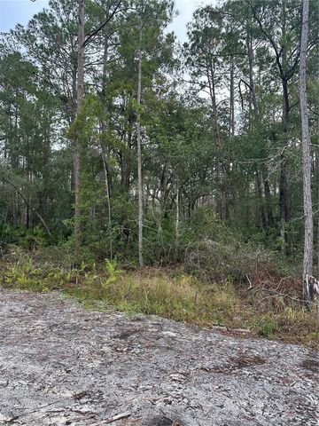 2301 10TH AVENUE, Deland, FL 32724