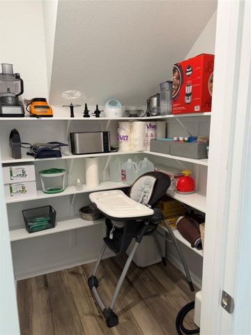 25832 Rugosa Drive, Magnolia, TX 77355