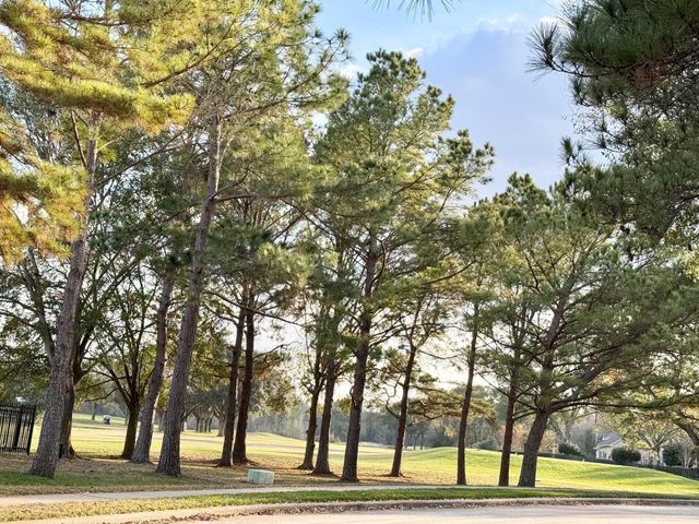 3718 Sunset Manor Lane, Katy, TX 77450