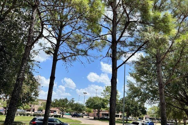 3718 Sunset Manor Lane, Katy, TX 77450