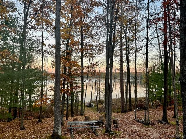 1475 Aarons Road, Lewiston, MI 49756