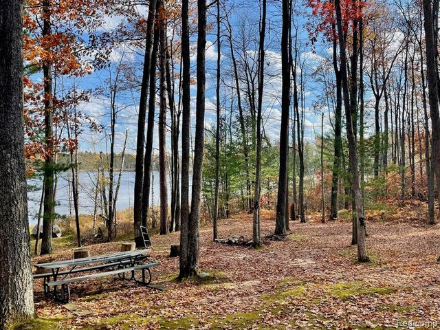 1475 Aarons Road, Lewiston, MI 49756