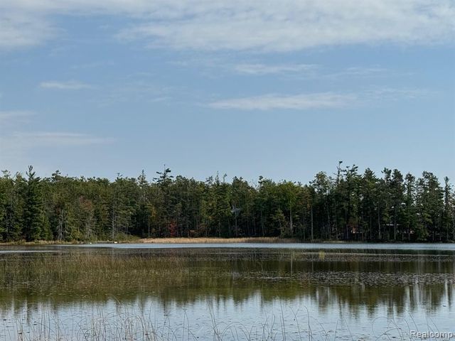 1475 Aarons Road, Lewiston, MI 49756