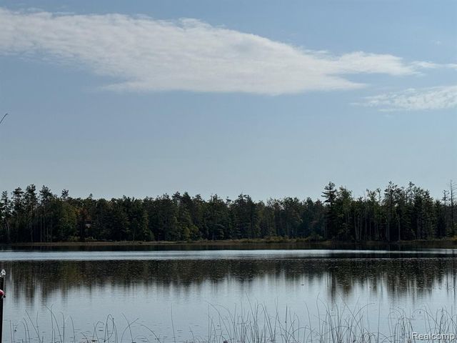 1475 Aarons Road, Lewiston, MI 49756