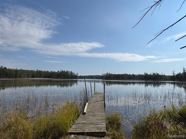 1475 Aarons Road, Lewiston, MI 49756