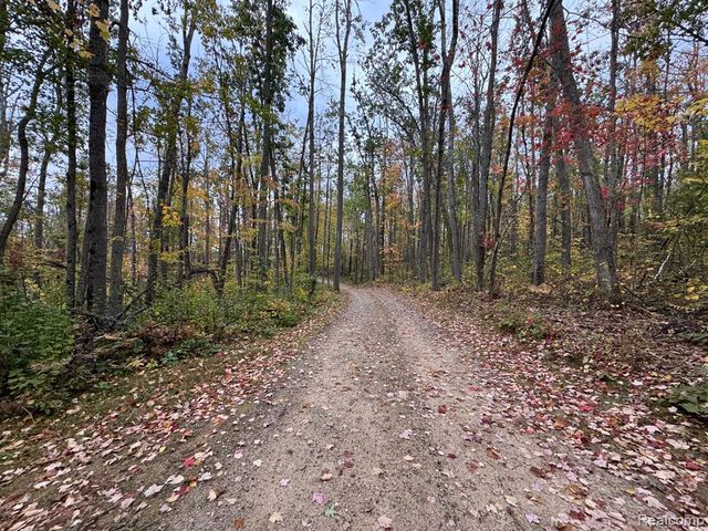 1475 Aarons Road, Lewiston, MI 49756