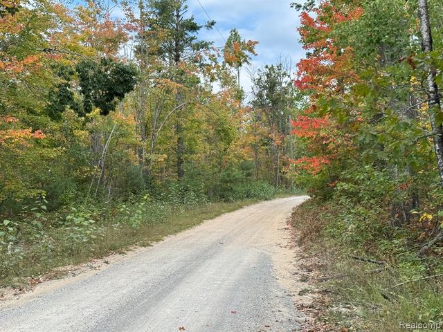 1475 Aarons Road, Lewiston, MI 49756