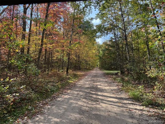 1475 Aarons Road, Lewiston, MI 49756