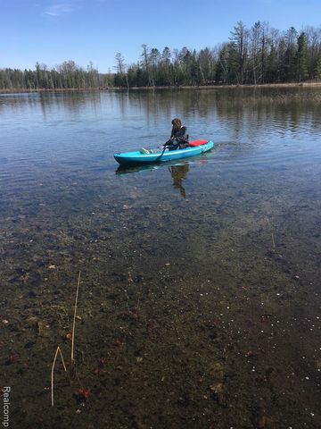 1475 Aarons Road, Lewiston, MI 49756