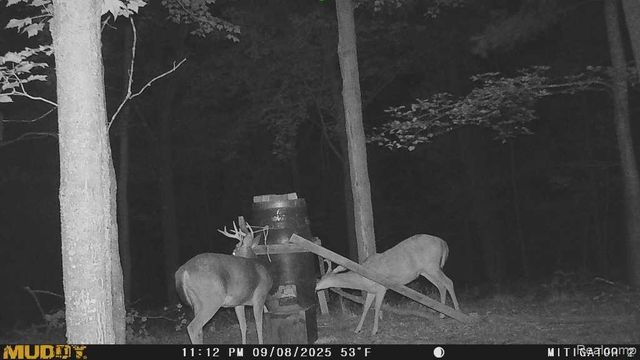 1475 Aarons Road, Lewiston, MI 49756