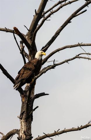 1475 Aarons Road, Lewiston, MI 49756