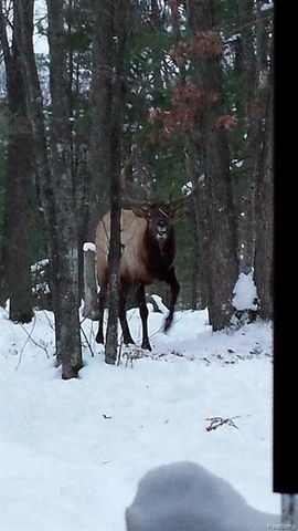 1475 Aarons Road, Lewiston, MI 49756