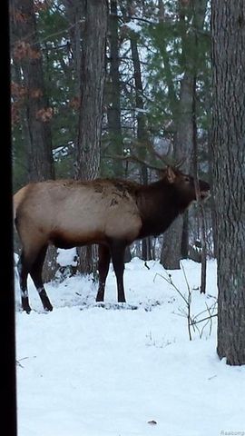 1475 Aarons Road, Lewiston, MI 49756