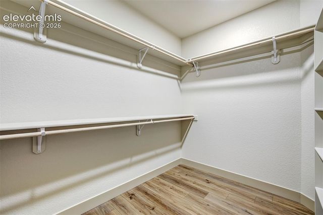 620 Misty Pines Circle, Woodland Park, CO 80863
