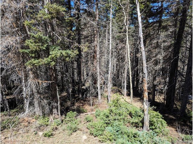 2767 Purnell Ln, Fort Garland, CO 81133
