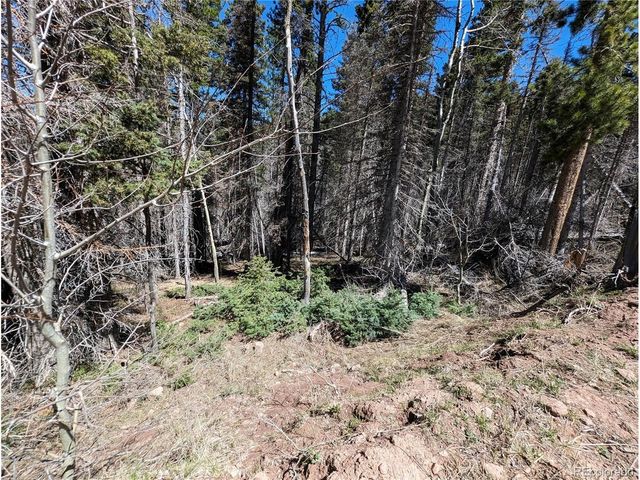 2767 Purnell Ln, Fort Garland, CO 81133