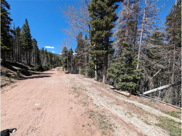 2767 Purnell Ln, Fort Garland, CO 81133
