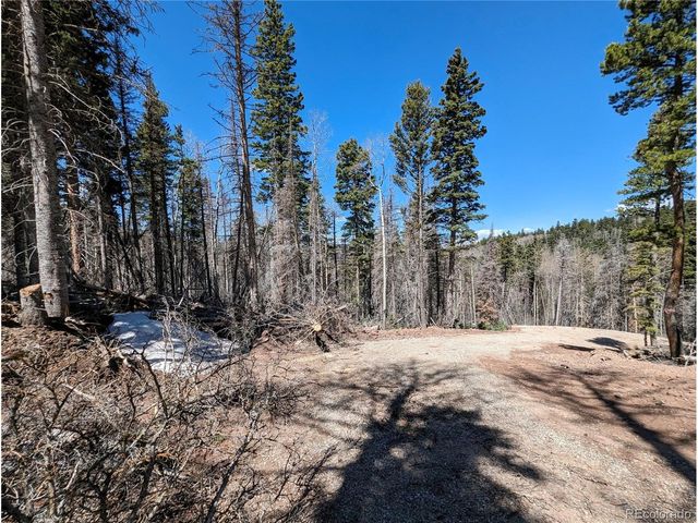 2767 Purnell Ln, Fort Garland, CO 81133