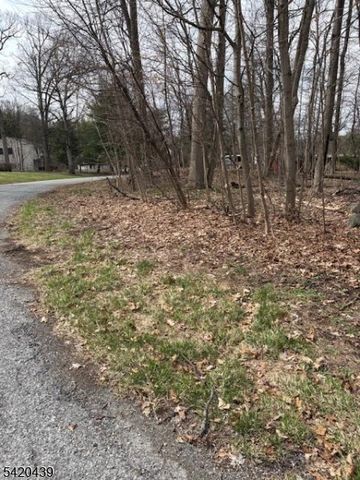 3 Wood Dale Court, Vernon Twp., NJ 07461