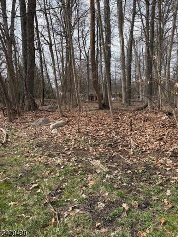 3 Wood Dale Court, Vernon Twp., NJ 07461