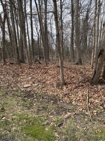 3 Wood Dale Court, Vernon Twp., NJ 07461