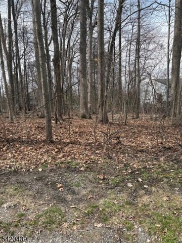 3 Wood Dale Court, Vernon Twp., NJ 07461