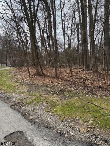 3 Wood Dale Court, Vernon Twp., NJ 07461