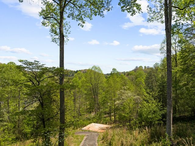152 Cowboy Way, Mineral Bluff, GA 30559