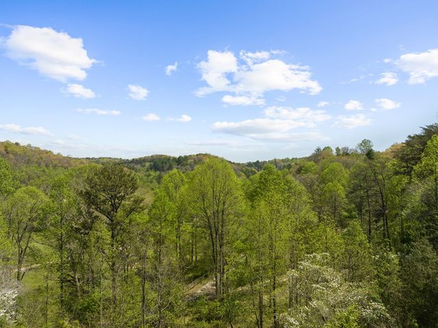 152 Cowboy Way, Mineral Bluff, GA 30559