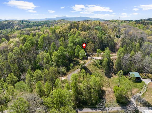 152 Cowboy Way, Mineral Bluff, GA 30559