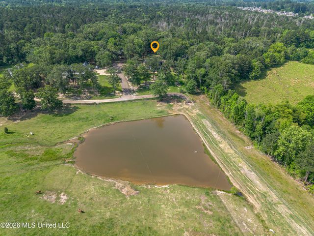 100 Chance Cove, Brandon, MS 39047