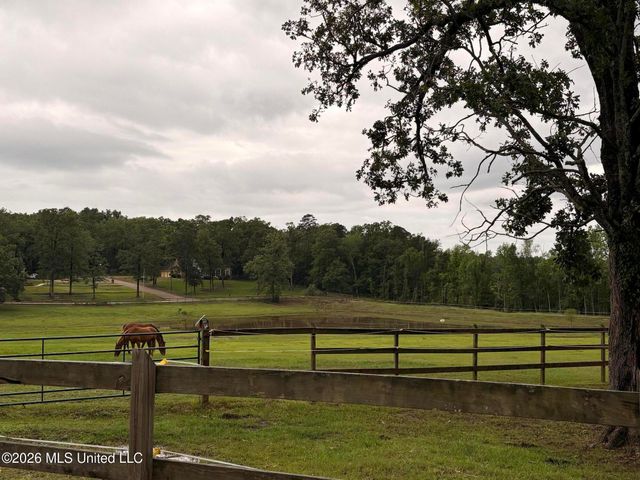 100 Chance Cove, Brandon, MS 39047